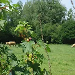 Le Bas Pineau Nyaraló