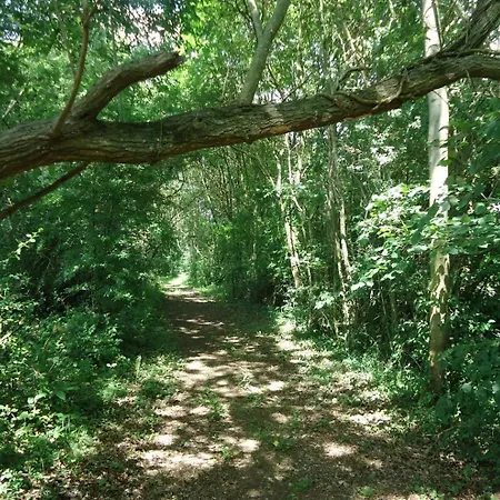 Le Bas Pineau *