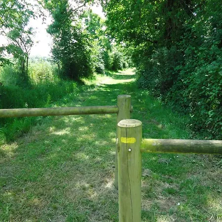 Le Bas Pineau * Loiron-Ruille