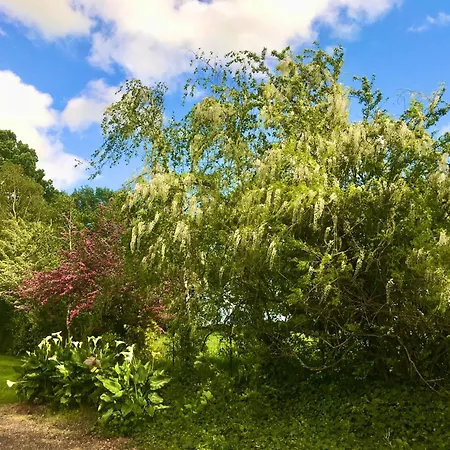 بيت للعطل Le Bas Pineau Loiron-Ruille