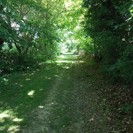 Le Bas Pineau Loiron-Ruille