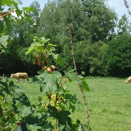 Le Bas Pineau بيت للعطل