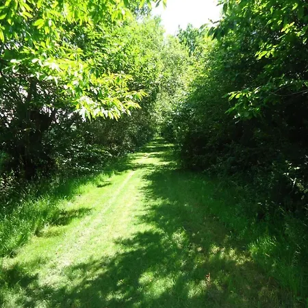 Le Bas Pineau بيت للعطل *