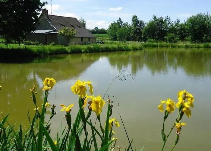Le Bas Pineau Loiron-Ruille