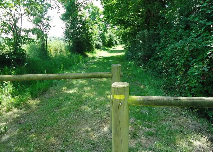 Le Bas Pineau * Loiron-Ruille