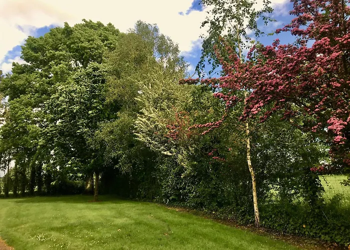 Le Bas Pineau בית נופש