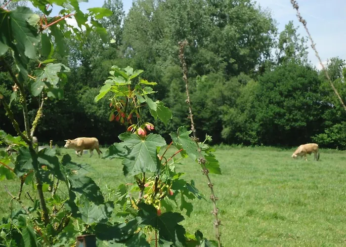 Le Bas Pineau בית נופש